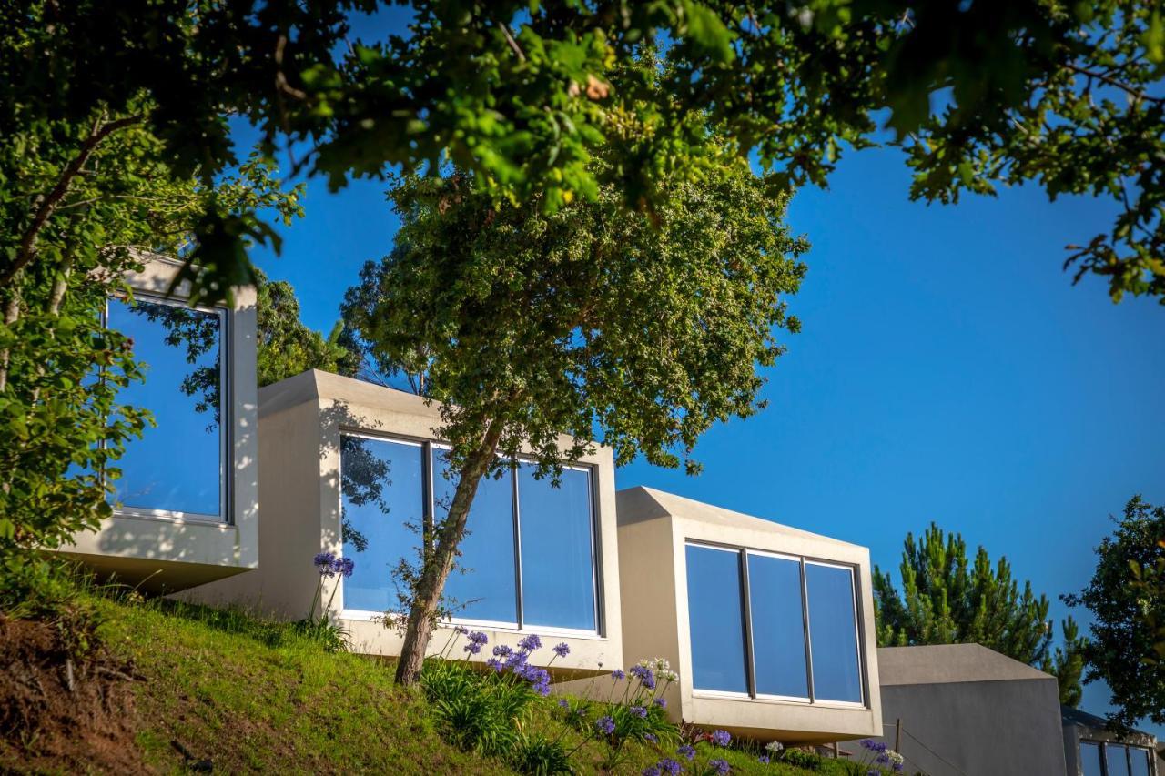 Amare Country House Caminha Εξωτερικό φωτογραφία