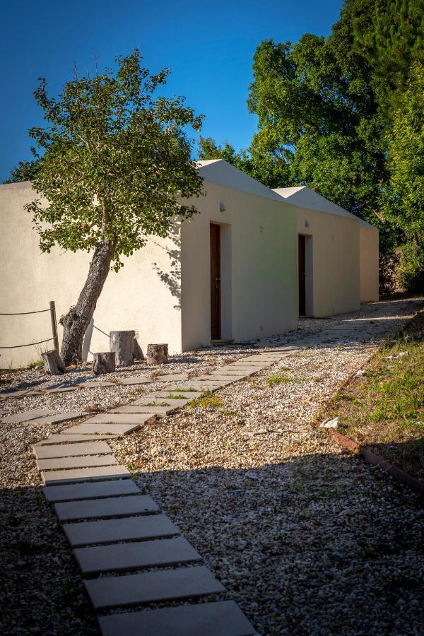 Amare Country House Caminha Εξωτερικό φωτογραφία